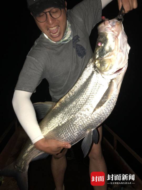 web前端開發(fā)技術(shù)心得體會(huì)_大疆 Pocket 4 雙攝長(zhǎng)續(xù)航曝光