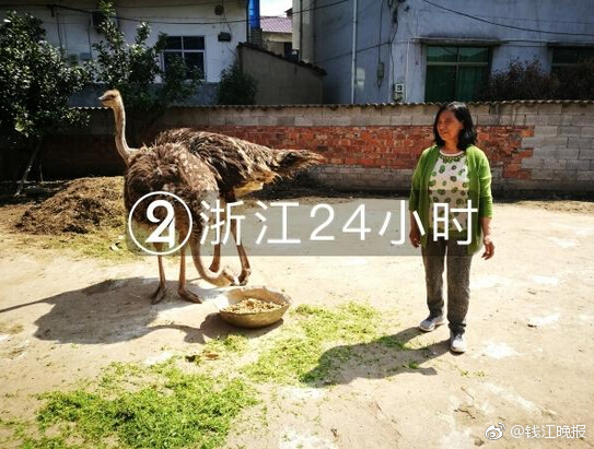 網(wǎng)站太擠進(jìn)不去怎么辦_熱議成都平神戶：雖有遺憾但值得尊重，給中超掙臉沒得黑