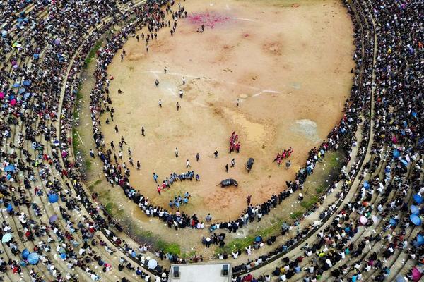 win11專業(yè)版激活密鑰_媒體人：阿奇姆彭很職業(yè)、不惹事，配得上在中超掙得每一分錢