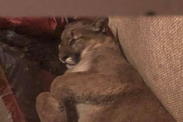 網(wǎng)站遠(yuǎn)程幫別人修電腦_小米回應(yīng)“進(jìn)軍AI教育”：人才招聘被誤讀，實(shí)為強(qiáng)化