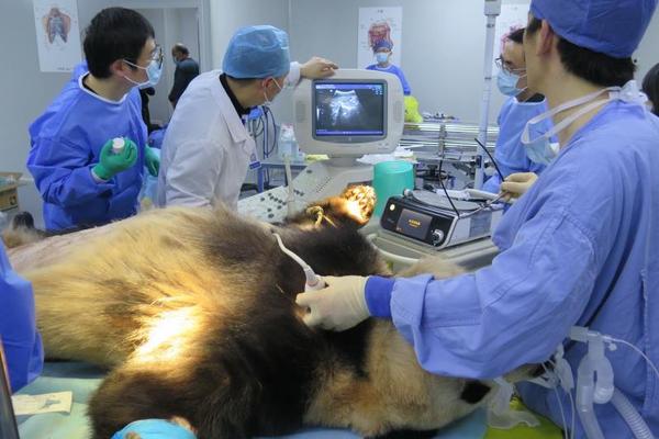 互聯(lián)網(wǎng)法制典型案例圖片大全_擴(kuò)容提質(zhì) 我國縣域消費(fèi)活力持續(xù)迸發(fā)