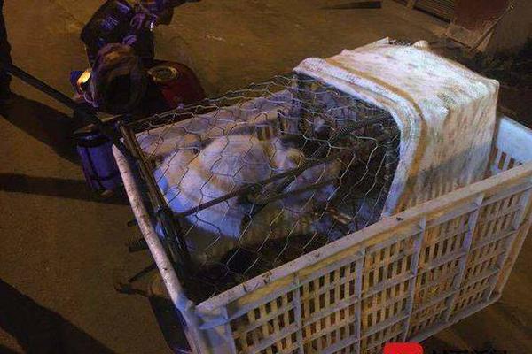 華納云的美國站群服務器_與歐洲三國領(lǐng)導人會晤后 澤連斯基稱不愿向俄割讓領(lǐng)土