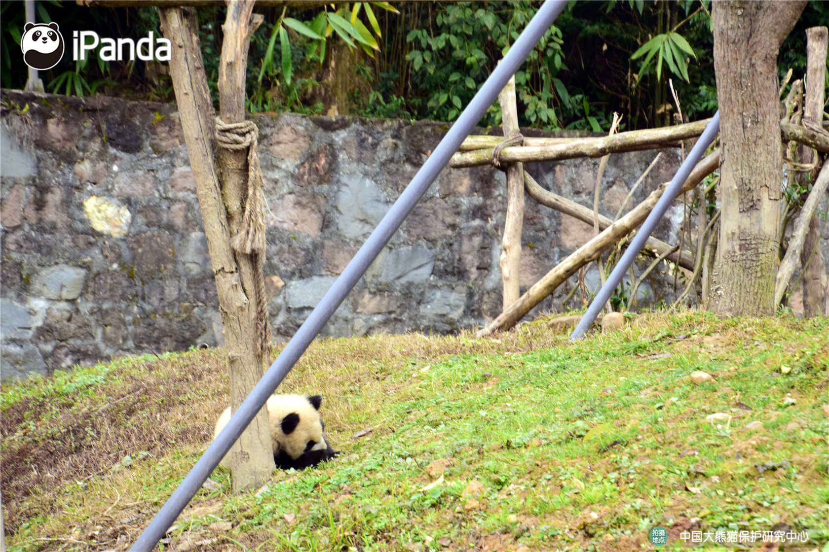 如何查看電腦是內(nèi)網(wǎng)還是外網(wǎng)_萬科A午后直線漲停 多只萬科系債券大漲超30%