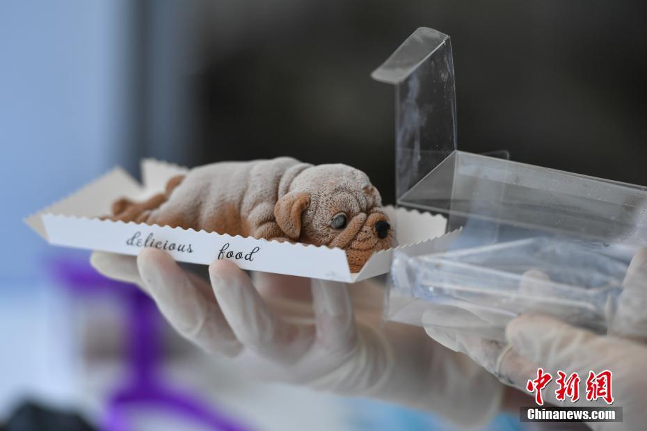 計算機編程語言的工資情況_趙麗穎微博取關(guān)前經(jīng)紀人黃斌