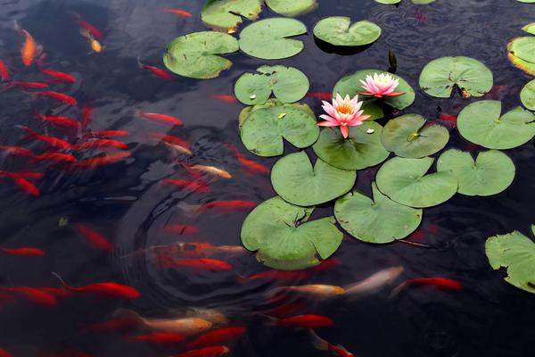 安全測試貫穿于軟件的整個(gè)生命周期_宋文帝劉義隆被親生兒所殺