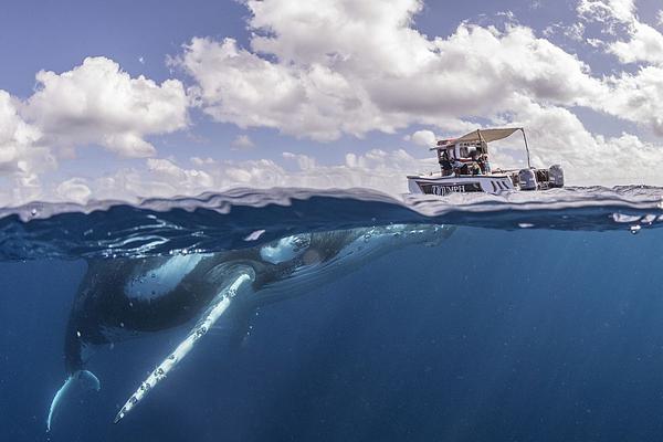 如何免費(fèi)查看網(wǎng)頁(yè)上的收費(fèi)文檔省下的內(nèi)容_咋回?fù)魫?ài)指責(zé)別人的人