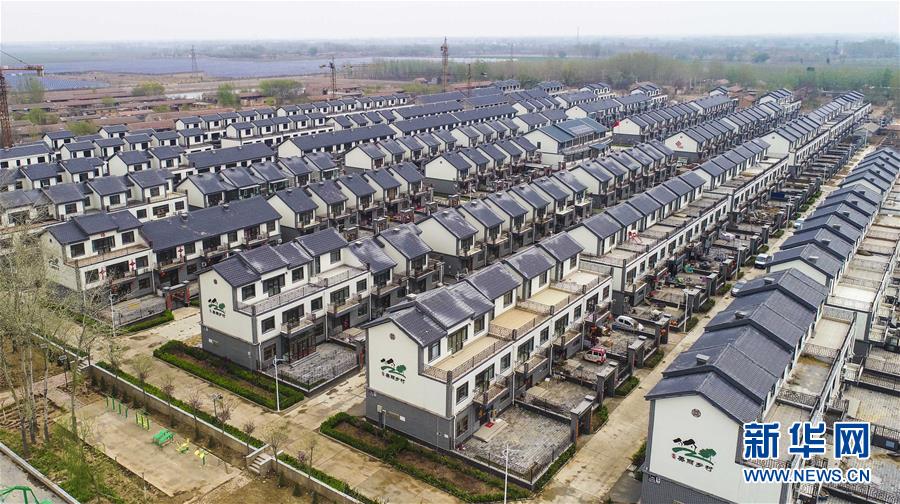 如何通過網(wǎng)站備案號查看網(wǎng)站備案信息_大話手游御獸爭鋒：雙人天梯賽怎么玩？7血法第一輕松吃雞！