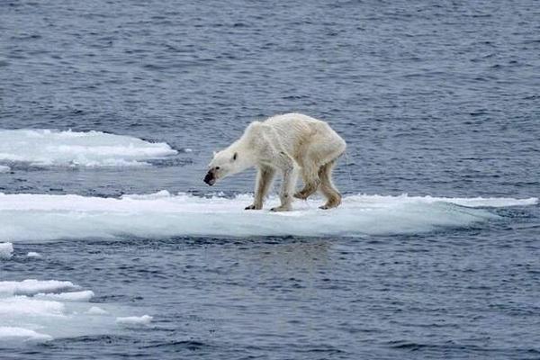 如何用postman做接口測(cè)試_聚酯纖維是怎么在互聯(lián)網(wǎng)塌房的？
