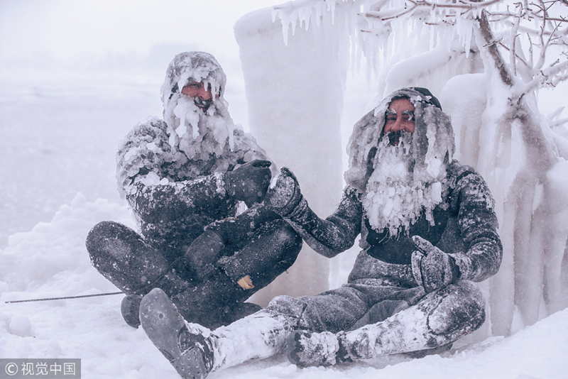 網(wǎng)易新聞：貓頭鷹視頻