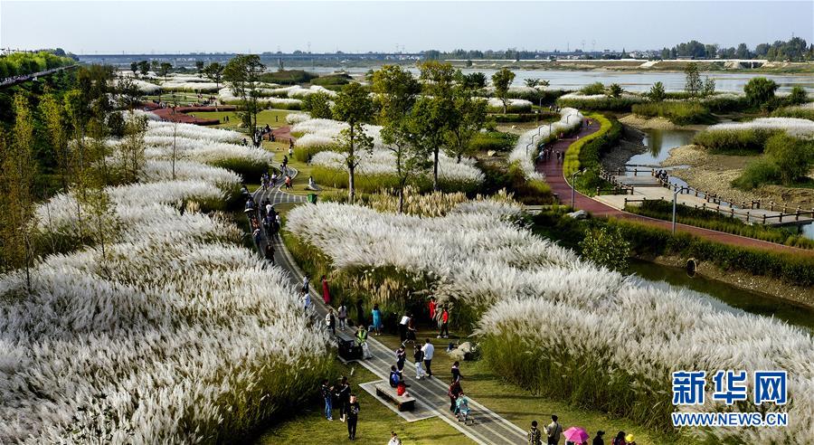 CBA歷史首隊(duì)！同曦新賽季未開(kāi)始換帥 洋帥貝帥下課王世龍接任