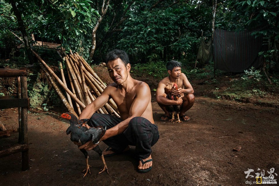 信息安全技術(shù)網(wǎng)絡(luò)安全漏洞管理規(guī)范_冰雪經(jīng)濟(jì)高質(zhì)量發(fā)展新觀察