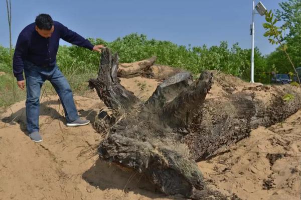 星云QQ空間訪問權(quán)限破解器_組圖:楊冪巔峰之夜上班照曝光 長發(fā)飄飄女神范兒十足
