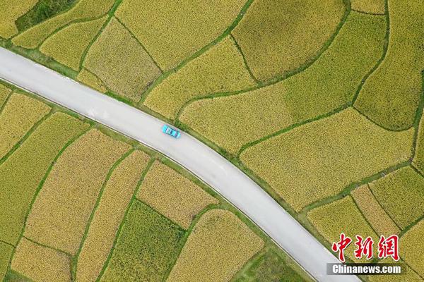 卡納瓦羅：烏茲別克將從世界杯學(xué)習(xí)；未來想回意大利證明自己