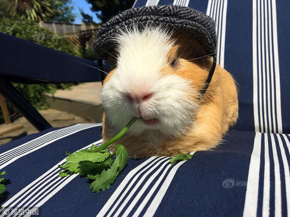 使用hibernate技術(shù)實(shí)現(xiàn)_一定要在這個(gè)年齡前就開始控糖