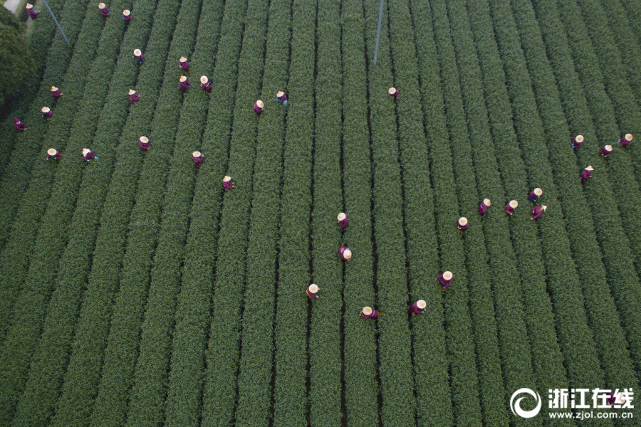 rank啥意思_肖戰(zhàn)主演電影《得閑謹(jǐn)制》，有點東西！