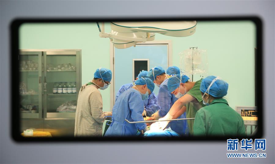 數(shù)據(jù)庫(kù)注入漏洞_最強(qiáng)動(dòng)物塑，全在ZOOTOPIA里了