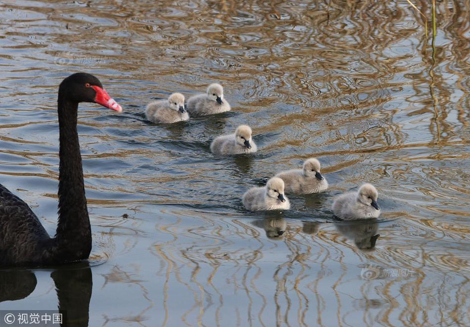 登陸界面html模板_考古熱是如何興起的？