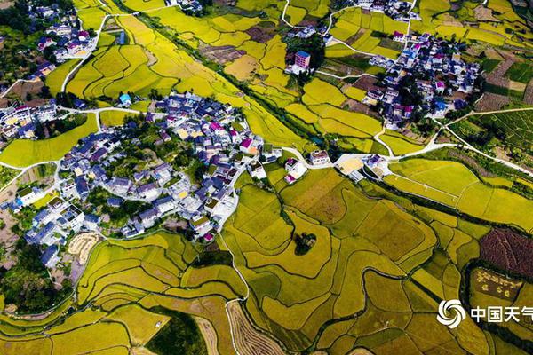 銀行工作人員泄露客戶信息_中國(guó)金茂:11月簽約銷售金額79.97億元