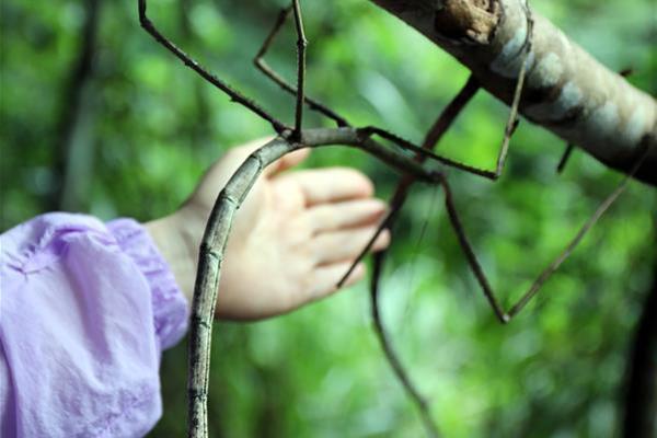 360安裝的漏洞如何刪除_小泉進次郎稱