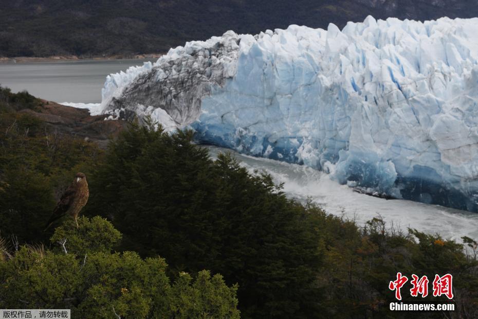 密碼傳輸_一粒米蓋住6個(gè)字 藥品說(shuō)明書該改了