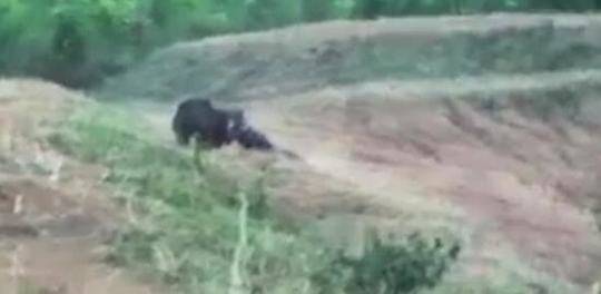 游戲交易網(wǎng)源碼程序_惡劣！戈貝爾被馬威一級惡犯打眼睛 重?fù)艉笳哐慷墣悍副或?qū)逐