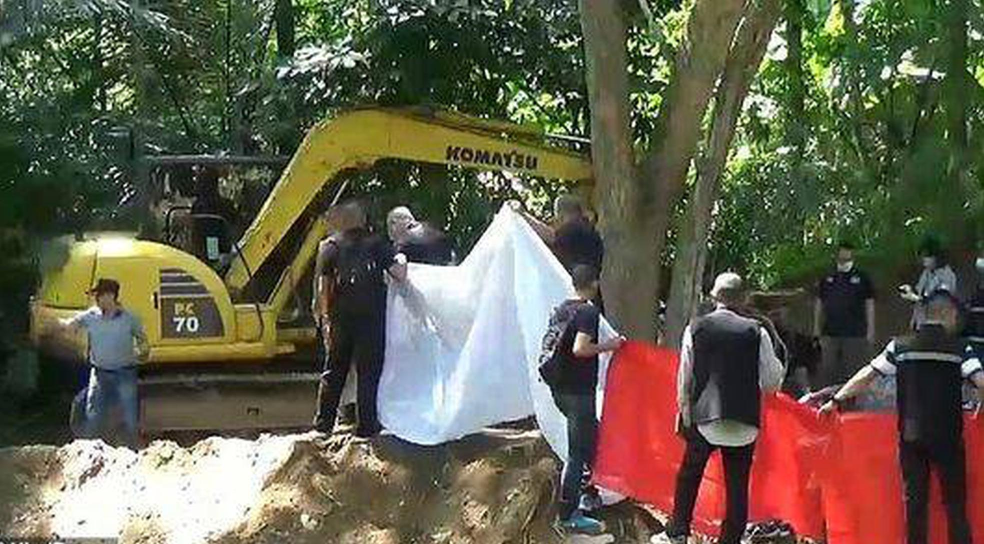 圖片提取器工具_(dá)感覺時間越來越快不是錯覺