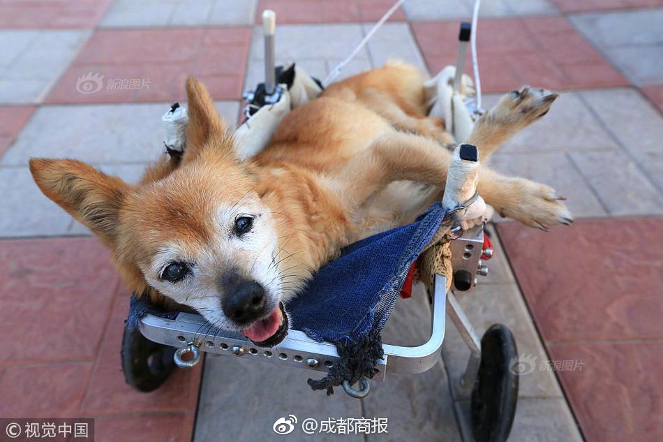 獨立站文章怎么寫_600億浙商大佬暴雷，百億級兌付危機(jī)？