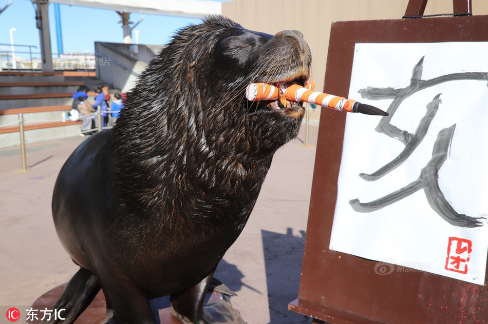 99單號網(wǎng)單號購買快遞單號購買_宋茜復(fù)古造型優(yōu)雅恬靜