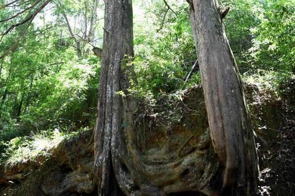 哪里找采購商電話_廣和通(300638)：主業(yè)增長穩(wěn)健 AI端側(cè)與機(jī)器人蓄勢待發(fā)