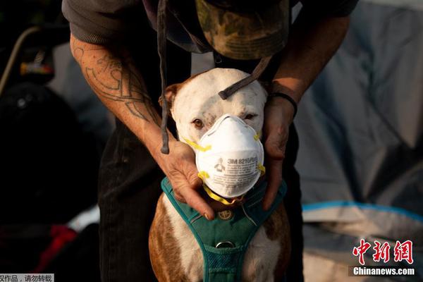 asp是一種開發(fā)工具_(dá)格力電器到底是一只股票還是債券？