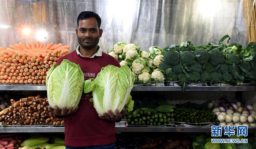 網(wǎng)絡(luò)蠕蟲的特點(diǎn)_突破4200美元后，黃金還能漲多久？