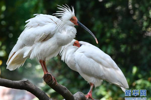 這種事情全世界各地每天都在發(fā)生的英語_600億浙商大佬暴雷，百億級(jí)兌付危機(jī)？
