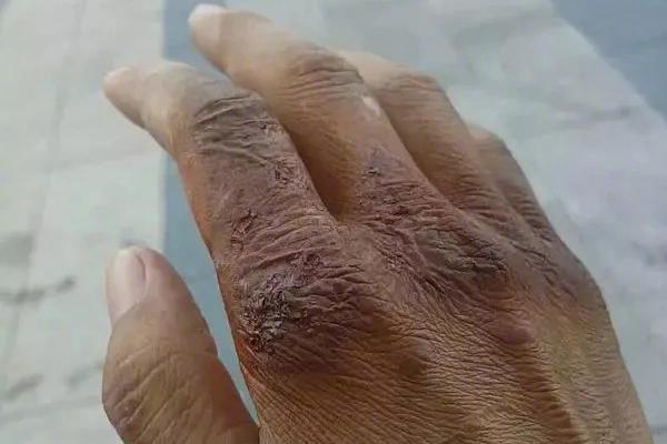 hcia能干什么_暴漲700%：TrendForce預(yù)測2026年人形機(jī)器人出貨破5萬臺(tái)