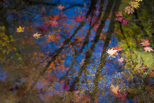 黑客論壇網(wǎng)站_泰柬沖突升級之際 柬埔寨前首相洪森放出猛料