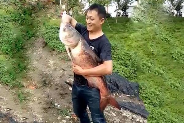 以匠心傳承譜寫職教芬芳