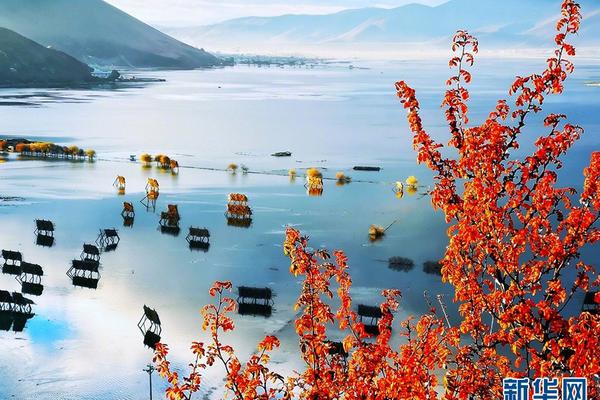 國外新聞搜索引擎_該給百天寶寶牙齒補充氟化物？