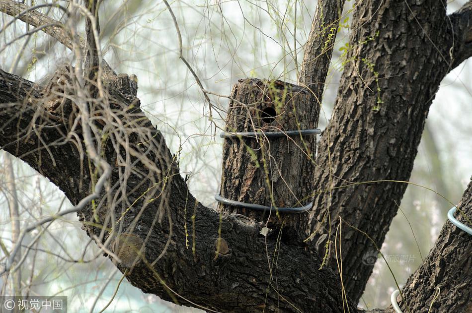 權(quán)益實時到賬區(qū)塊鏈是什么_從“羊駝”到“牛油果”：Meta搖擺的AI戰(zhàn)略引發(fā)內(nèi)部混亂