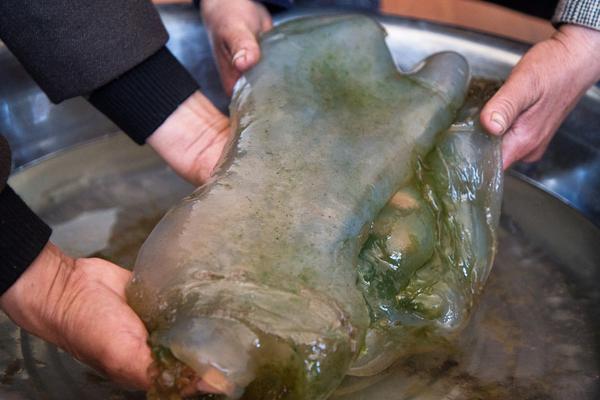 網(wǎng)站seo運營_單一板塊主導(dǎo)的市場可參與性不大