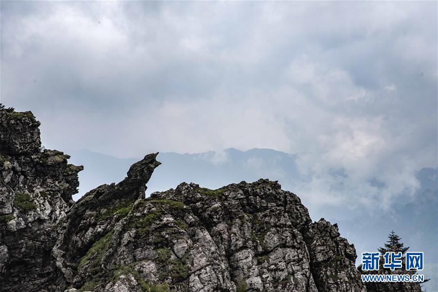 kali模擬dlink路由器釣魚_墨足協(xié):墨西哥傳奇馬克斯將于世界杯結(jié)束后擔(dān)任國家隊主帥