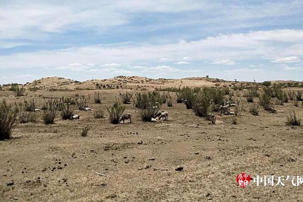 寄菜刀 小學(xué)語(yǔ)文課本全文_【四中全會(huì)精神在基層】線上線下對(duì)接群眾期盼