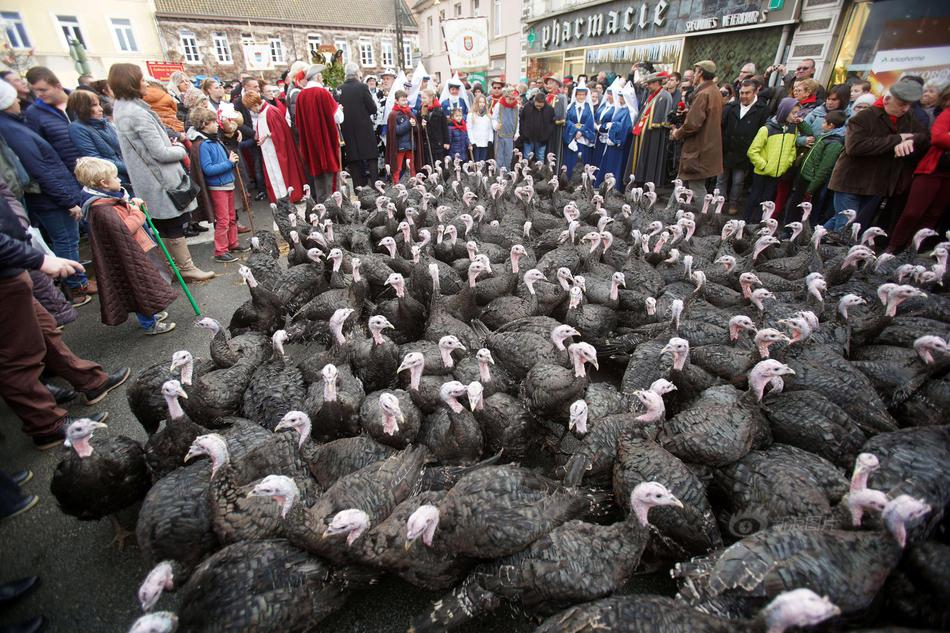 暗月滲透百度網(wǎng)盤免費(fèi)_破繭之痛:女性不愿面對的三大人生真相