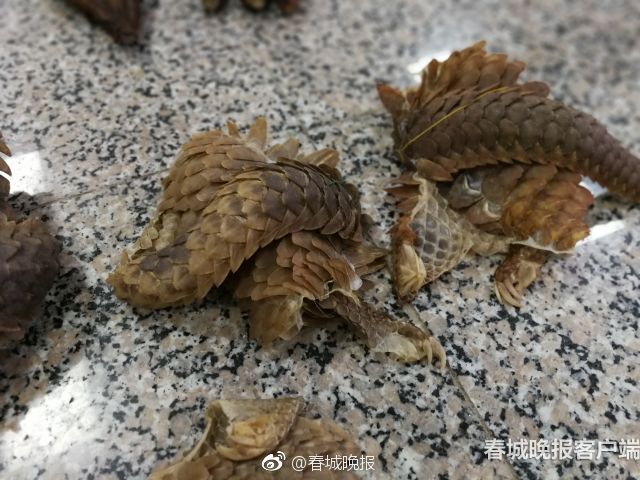 女子前十:許贏逼近中國(guó)前十 周詩(shī)媛大幅提升