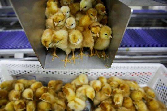 比較有用的網(wǎng)站_牢記囑托·逐夢深藍｜山東造出這些海上大家伙