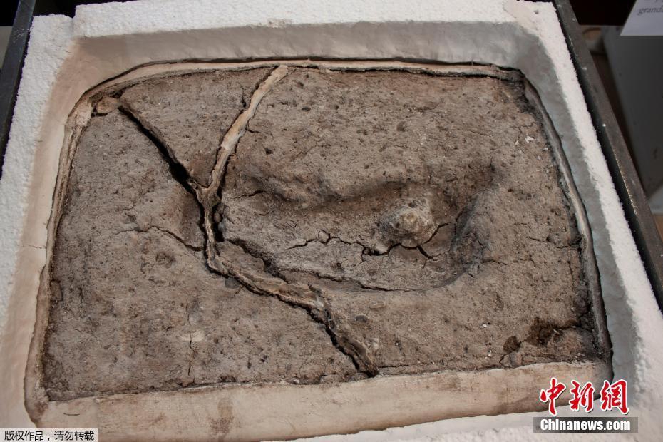 無損檢測滲透檢測_三折疊巔峰對決 三星能否終結(jié)華為無盡的寂寞