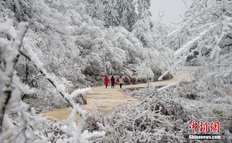 夸克緩存的視頻提示違規(guī)_澤連斯基拒絕