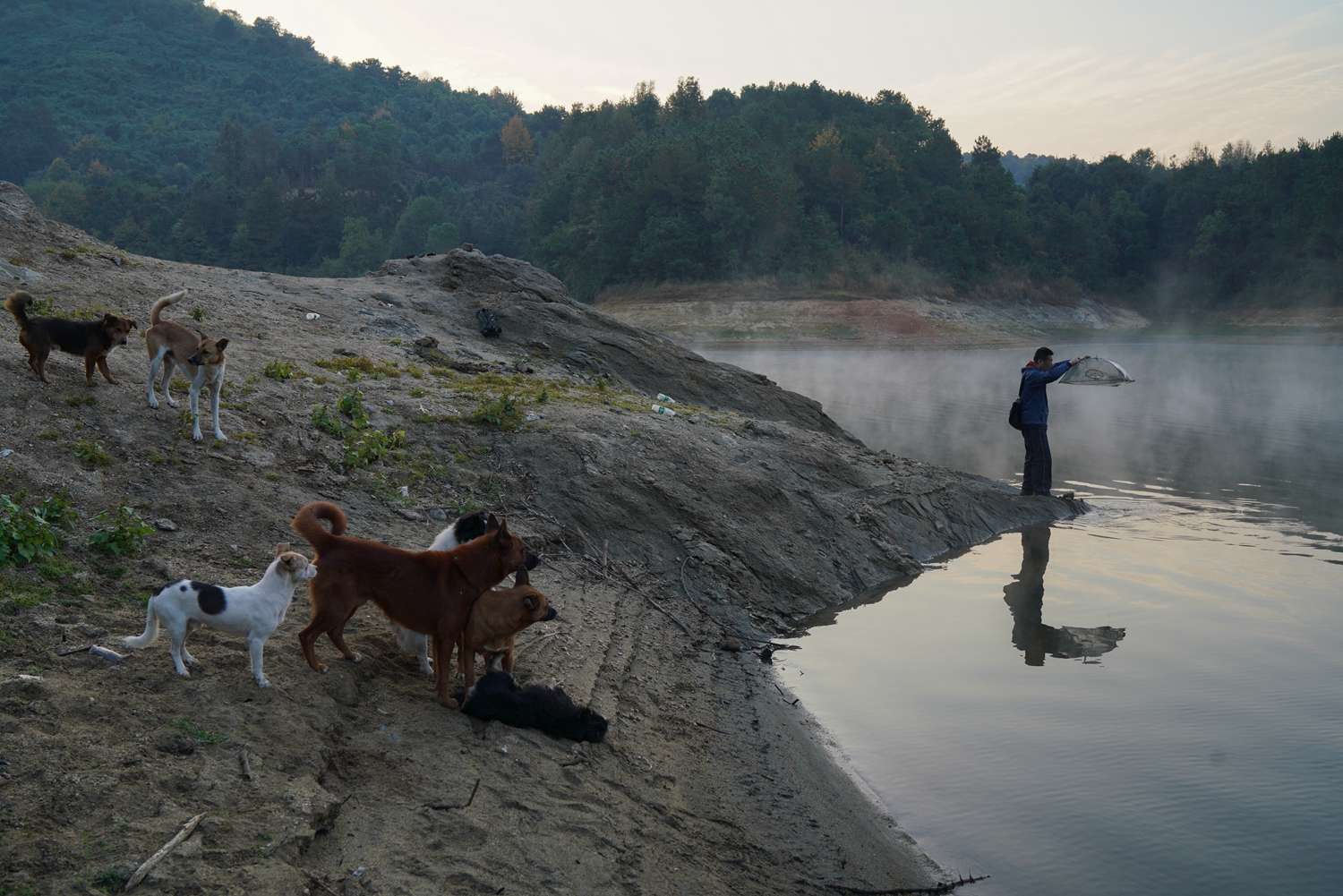 合合信息圖像篡改檢測(cè)免費(fèi)嗎_“綠色”共融 “數(shù)智”兼容 他們這樣打造發(fā)展新動(dòng)能