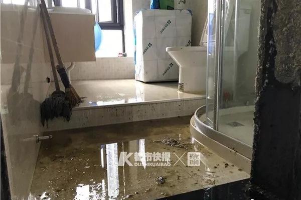 充值網(wǎng)站源碼_高質(zhì)量發(fā)展看中國｜“小紅圓”長成“大產(chǎn)業(yè)” 小蘿卜撐起“錢袋子”