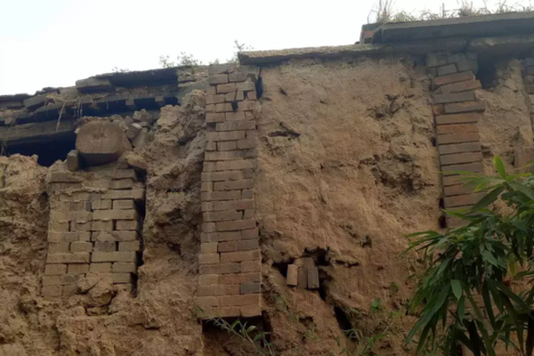 12月9日滬深兩市漲停分析：安記食品6連板，龍洲股份