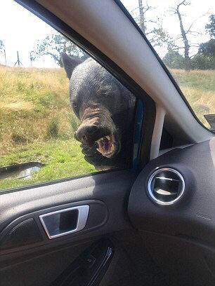 國內首個IP綜合體驗空間“閱文書園”正式啟幕