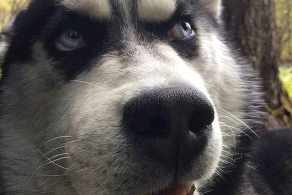 里有理發(fā)_周杰倫兒子首次看爸爸演唱會 隨節(jié)奏打拍子